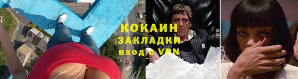 гидра Корсаков