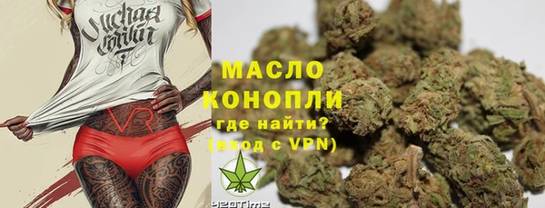 гидра Корсаков
