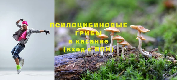 трава Козельск