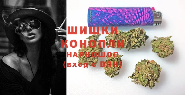 гидра Корсаков