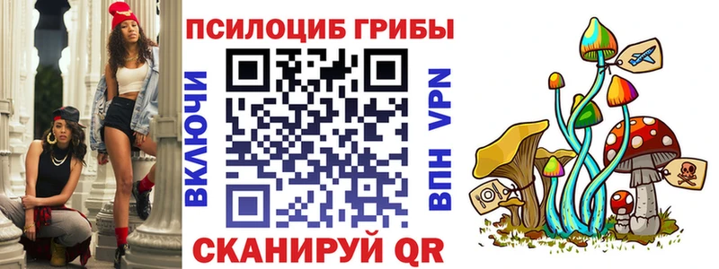 Псилоцибиновые грибы Psilocybe  Кораблино 